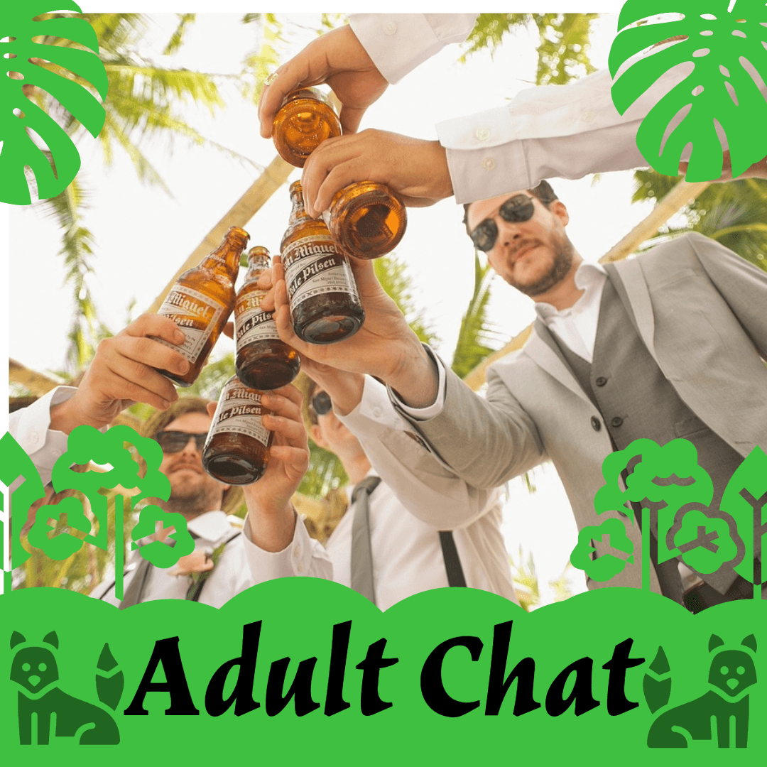 Adults Chat is a moderated adult chat room. No explicit content, only good vibes.